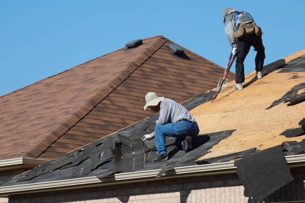 Best Metal Roofing Installation  in Edgewood, FL